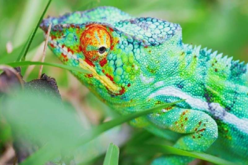 Carte de visite et imprimerie lyon